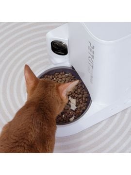 Petkit Yumshare Solo Kameralı Akıllı Mama Kabı (Resmi Distribütör Garantili)