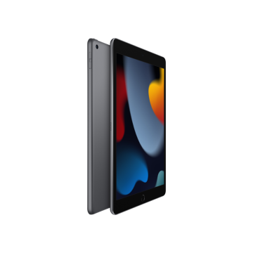 Apple iPad 9.Nesil Wi-Fi Uzay Grisi MK2N3TU/A 256 GB 10.2'' Tablet