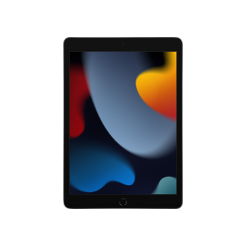 Apple iPad 9.Nesil Wi-Fi Uzay Grisi MK2N3TU/A 256 GB 10.2'' Tablet